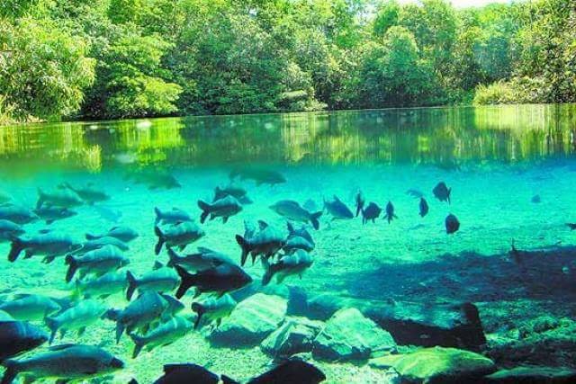 PANTANAL COM SANTA CRUZ DE LA SIERRA (Bolívia)