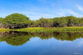 Pantanal com Bonito - 13 Dias